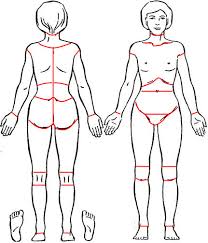 Welcome to innerbody.com, a free educational resource for learning about human anatomy and physiology. Pain Drawing Of A Female Body The Pain Location Area Borders Were Not Download Scientific Diagram