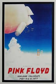 Image result for Pink 1977 Amana
