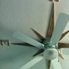 Additionally, our ceiling fans range from small (19 inches) to large (72 inches) and covers a large variety of styles including industrial, tropical, nautical, outdoor, airplane, flower, and more! 1