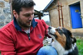 We did not find results for: Les Cinq Commandements Pour Bien Eduquer Son Chien Brive La Gaillarde 19100