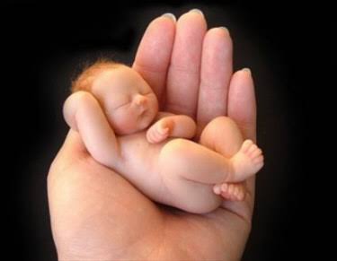 Image result for new born baby pic"