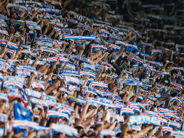Lesen sie jetzt „hansa rostock feiert heimsieg: Rostock Feiert Zweiten Heimsieg Gegen Dusseldorf