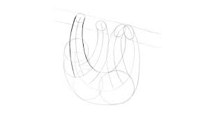 The second step to draw a face is to mark the position of eyes. How To Draw A Sloth Step By Step