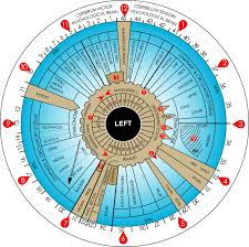 Left Sclerology Chart Free