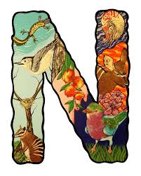 N The Letter N Painting By Jason Wright The Letter N Fine Art Prints Typography Animal Abc Illustration Animal Alphabet Letters