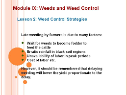 Maybe you would like to learn more about one of these? Module Ix Weeds And Weed Control Lesson 2