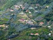 Resultado de imagen para VIRGINIA SANCHEZ GRUBER LA BARISTA DE GALIPAN