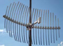 Image result for antena grillada