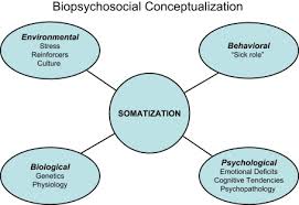 Image result for Somatization Management