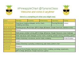 pineapple chart worksheets teaching resources tpt