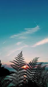 Wallpaper Iphone In 2020 Landscape Wallpaper Nature Wallpaper Wallpaper Iphone Summer