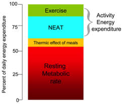Neat What Is It And Why Yours Probably Sucks Athlete Daily