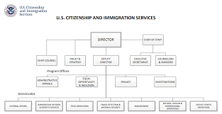76 All Inclusive Dept Of Homeland Security Org Chart