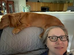 What makes a dog an ee cream?