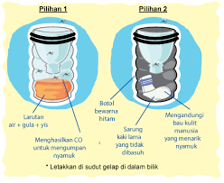 Aedes aegypti dan aedes albopictus. Inovasi Penghalau Perangkap Nyamuk Positive Parenting