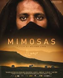 Jordan Soler's Instagram, Twitter & Facebook