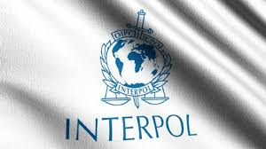 Maybe you would like to learn more about one of these? Interpol Stock Video Footage 4k And Hd Video Clips Shutterstock