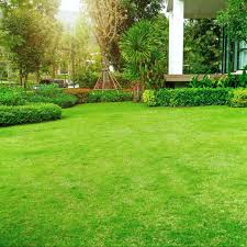 An analysis of these pesticides by toxics action center based on information from the pesticide manufacturer's material safety data sheets reveals did not readily release the names of the pesticides they would use on the customer's lawn. Sunday Lawn Care Review 2021 This Old House