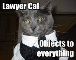 All your memes, gifs & funny pics in one place. 8 Lawyer Cat Ideas Crazy Cats Legal Humor Cats