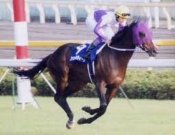 スペシャルウィーク Wikipedia