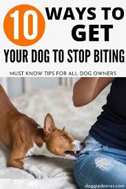 To teach your puppy to stop nipping at your heels, keep a favorite toy in your pocket. 10 Ways To Get Your Dog To Stop Biting Doggie Desires Dog Biting Training Training Your Dog Your Dog