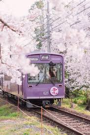 صور كيوتو تعرفوا على الجيشا وثقافة اليابان التقليدية japan photography japan travel kyoto japan