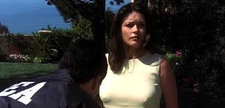 A jailed drug baron's wife attempts to carry on the family business. Traffic 2000 Ccpopculture