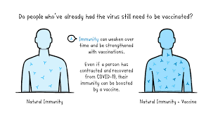 Workers said they will probably or definitely get the vaccine once it. Getting The Covid 19 Vaccine
