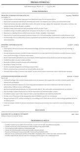 business systems analyst resume sample