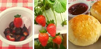 Sebut jer scone pasti terbayang saat menikmati teh panas dan scone di cameron highland. 35 Tempat Menarik Di Cameron Highland Edisi 2021 Yg Popular