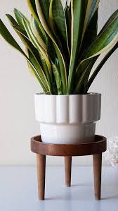 Plant Stand Plantas Purificadoras De Aire Soportes De Plantas En Interiores Plantas En Maceta