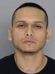 Deputies capture convicted sex offender for several felony charges