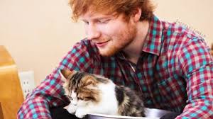Resultado de imagem para ed sheeran