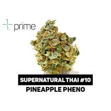 Supernatural Thai #10 (Pineapple Pheno) | Prime Wellness - Jane