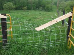 We did not find results for: Best Laid Plans Curiousfarmer