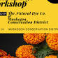 Shibori & Marigold Natural Dye Workshop