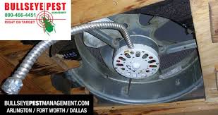 Eliminating established pest infestations can be challenging. Exclusion Work By Bullseye Pest Management Keeps Rodents Out During Winter Bullseye Pest Management