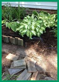 Bordure Bois Cr Ation De Parterre De Jardin Plantes Vertes Bordure Bois Cr Ation De Parterre De Jardin Plantes Verte Garden Borders Garden Edging Garden Beds