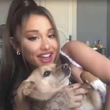 Dünyaca ünlü şarkıcı ariana grande (25), iş insanı sevgilisi dalton gomez (25) ile sürpriz bir şekilde nikah masasına oturmuştu. Ariana Grande S Offre Une Villa A 13 Millions De Dollars Avant Son Mariage Toutes Les Actualites Des People