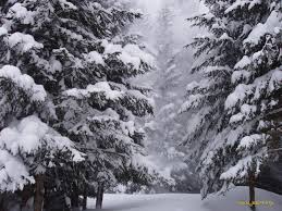 گـُـفـتـُـــگـوےِ آزاد نـــســــخـــــه (76) 67