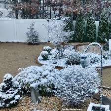 The limelight hydrangea blooms on new growth, so it should be pruned in late winter, before new growth begins. Limelight Hydrangea Tree Care And Pruning Garden Sanity By Pet Scribbles