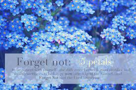 Scatter memory stones for funeral around a candle and photo on the memory table. Quotes About Forget Me Not 98 Quotes