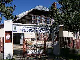 Cheia Muzeul Flori De Mina Visit Prahova