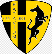 It owns and manages the porto soccer club in which the team plays in the portuguese national league and in other national and european tournaments such as champions league and. Community Amateur Sports Club Impianto Scalabrin Squadra Calcio Padova Petron Sport Logo Png Pngegg