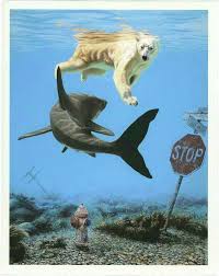 16 Best Bears Vs Sharks A Comprehensive Debate On A Deathly Serious Issues Ideas Shark Shark Sleeping Bag Funny Pictures