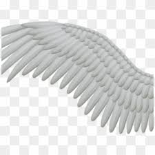 High quality transparent png pictures or layered psd files, 300 dpi, fast download. Free Angel Wing Png Png Transparent Images Pikpng