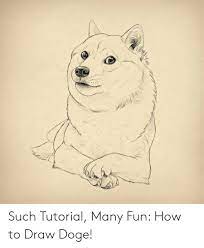 See more ideas about animal drawings, dog drawing, drawings. How To Draw Doge Meme Drawing For Kids