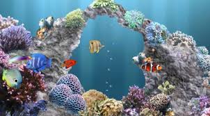 Computer Free Hd Wallpapers Free Live Wallpapers For Pc Moving Wallpapers Live Wallpaper For Pc Moving Wallpapers For Android