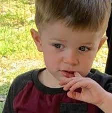 Profile for Kaye Shortt