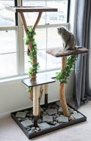 Kratzbaum Selber Bauen Aus Gefalltem Baum Einen Kratzbaum Selber Bauen Kratzbaum Selber Bauen Kratzbaum Selbstgebauter Kratzbaum
